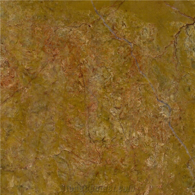 Golden Flower Marble Tile