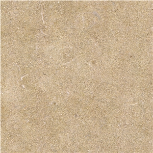 Golden Fossils Limestone