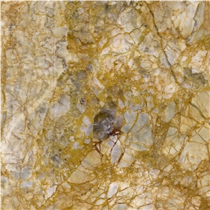 Golden Goose Marble Tile