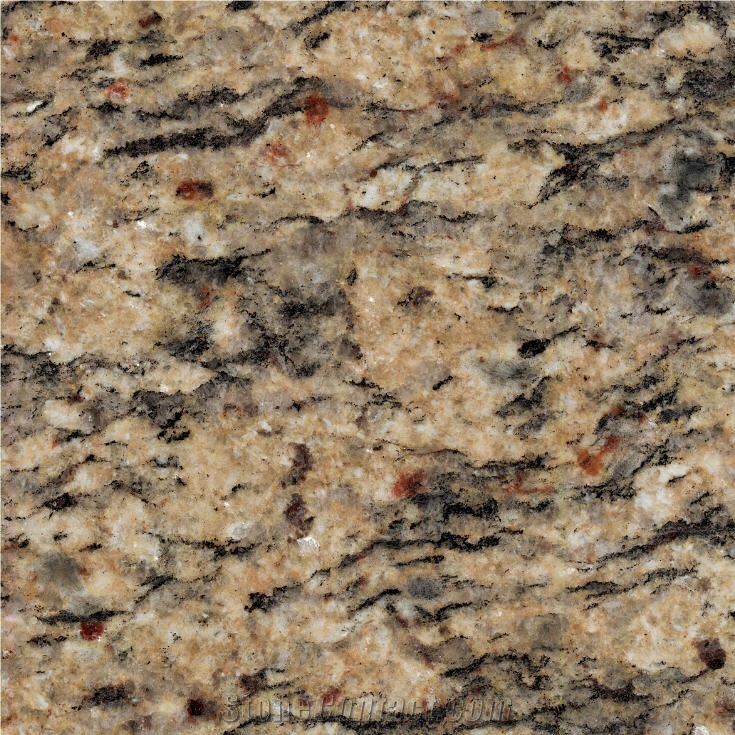 Golden King Granite Tile