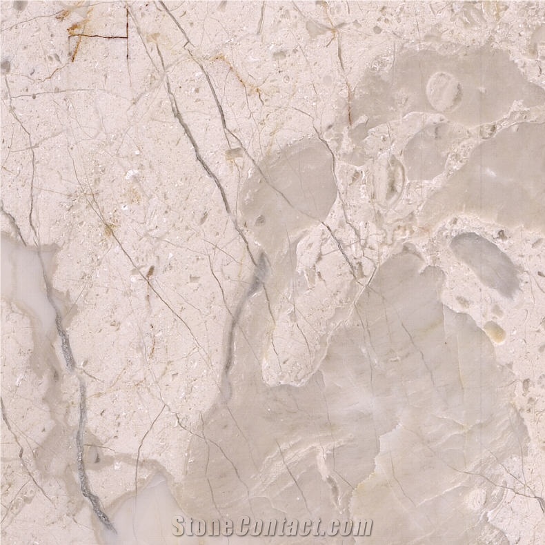 Golden Leaf Beige Marble Tile