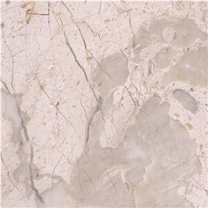 Golden Leaf Beige Marble Tile