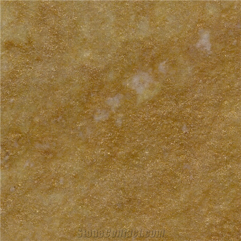 Golden Nautilus Quartzite Tile