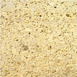 Golden Oasis Limestone Tile