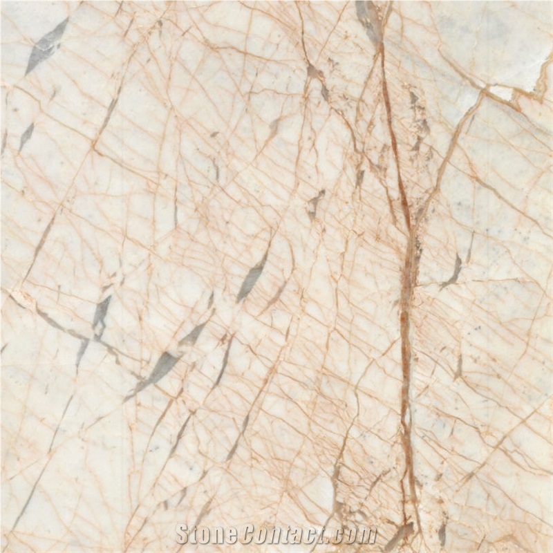 Golden Phoenix Tile
