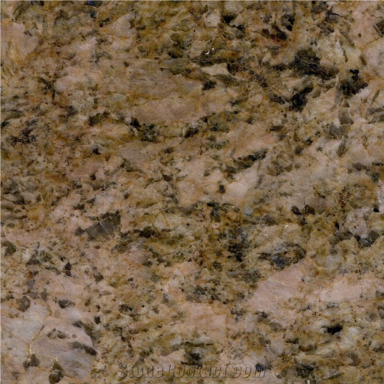 Golden Picasso Granite importance=