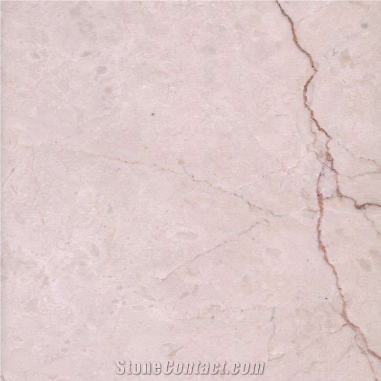 Golden Rose Cream Marble importance=