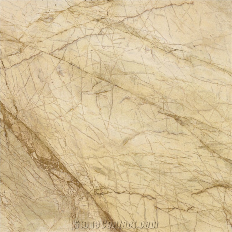 Golden Spiders Marble importance=