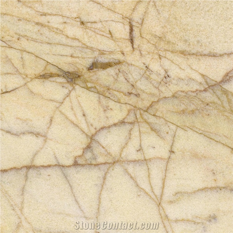Golden Spiders Marble Tile