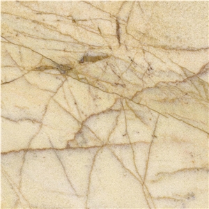 Golden Spiders Marble Tile