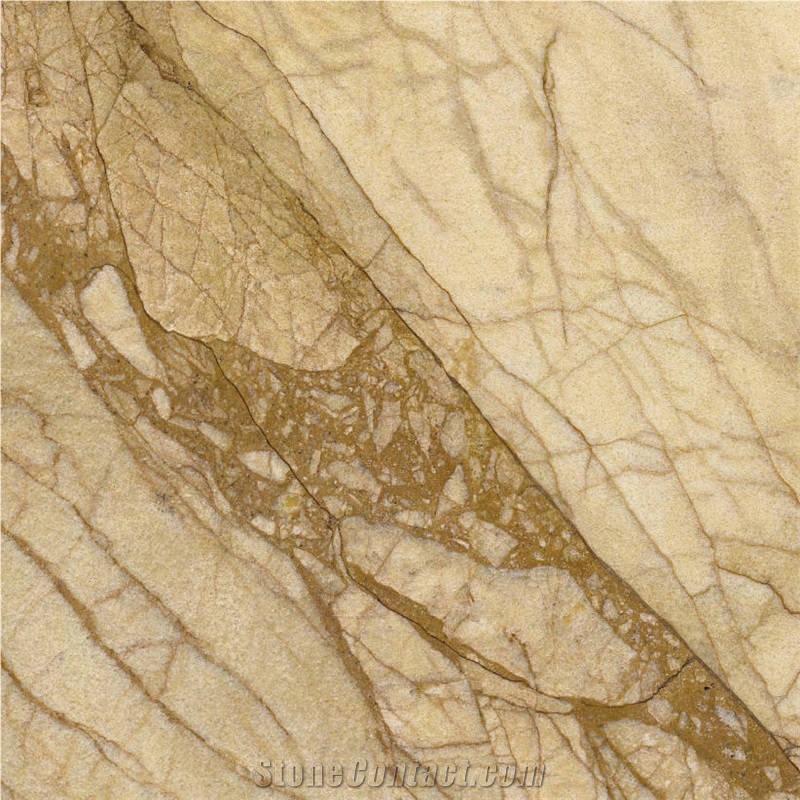 Golden Spiders Marble Tile