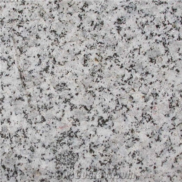 Granito dell Elba Tile