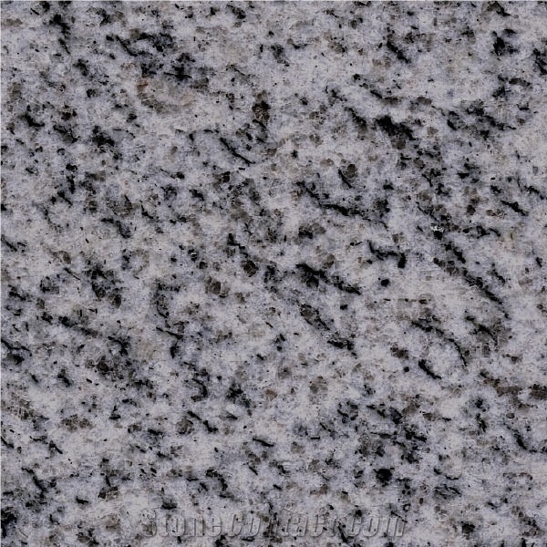 Gray Isis Granite importance=