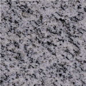 Gray Isis Granite