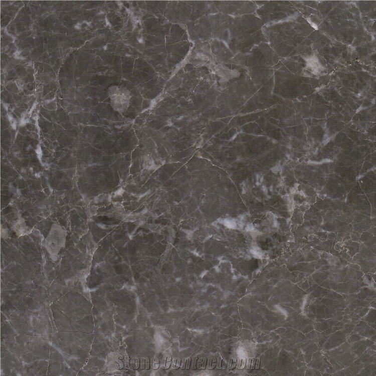 Gray Levanto Marble importance=