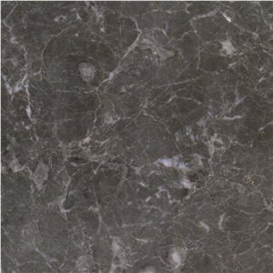 Gray Levanto Marble