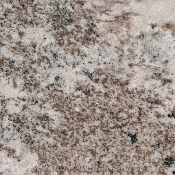Gray Nuevo Granite Tile