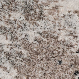 Gray Nuevo Granite Tile