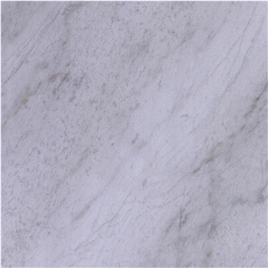 Gray Pattern White