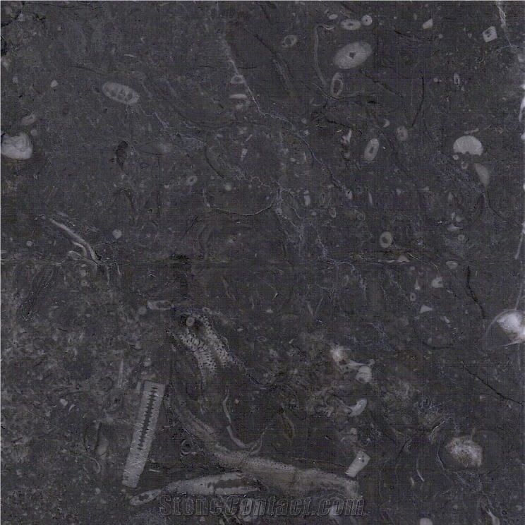 Grey Atlas Marble importance=