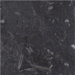 Grey Atlas Marble