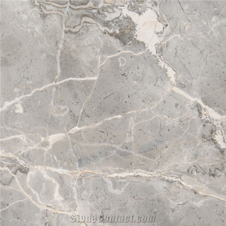 Grey Fleury Marble importance=