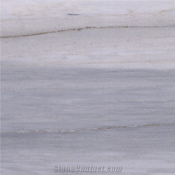 Grey Galaxy Palissandro Marble Tile