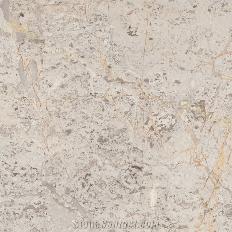 Grey Ginevra Marble importance=