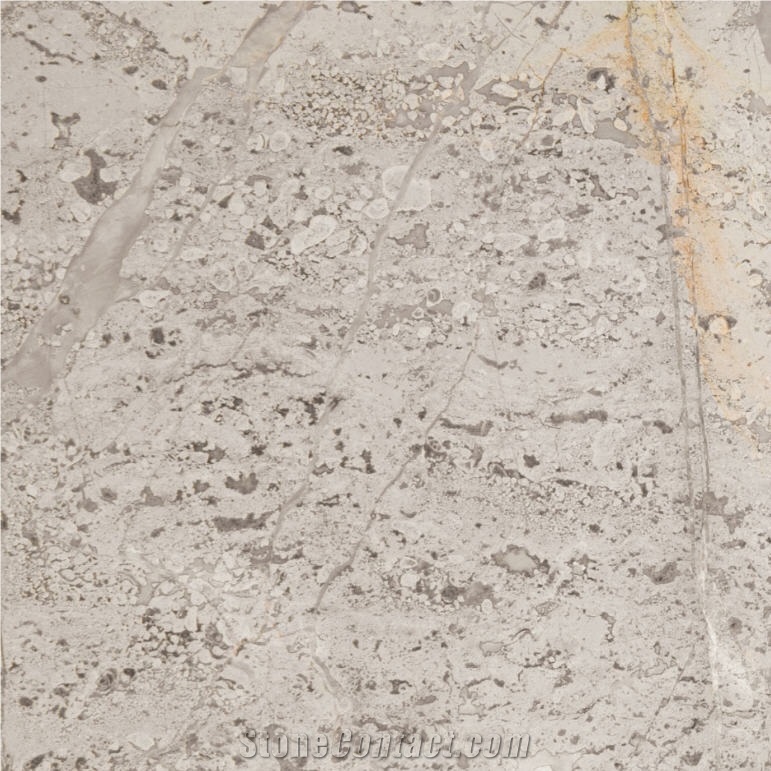 Grey Ginevra Marble Tile