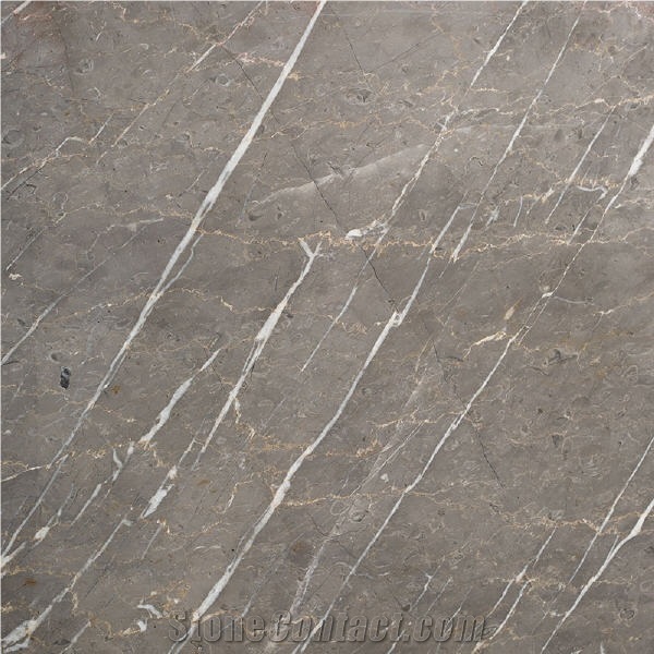 Grey Mocha Marble importance=