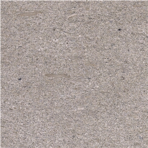 Grey Mocha Limestone Tile