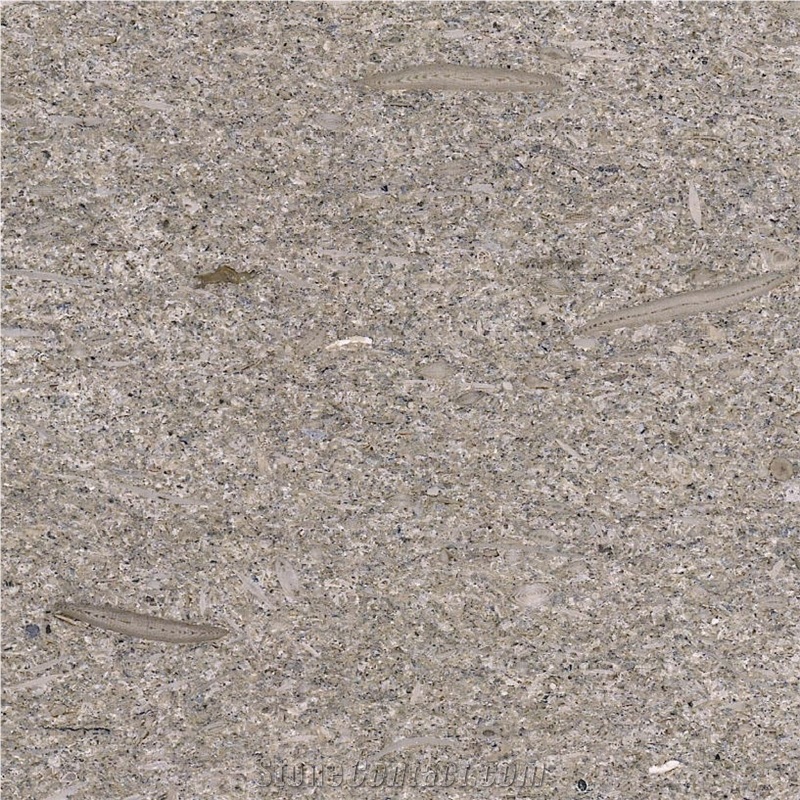 Grey Mocha Limestone Tile