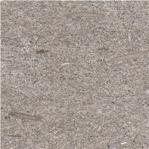 Grey Mocha Limestone Tile