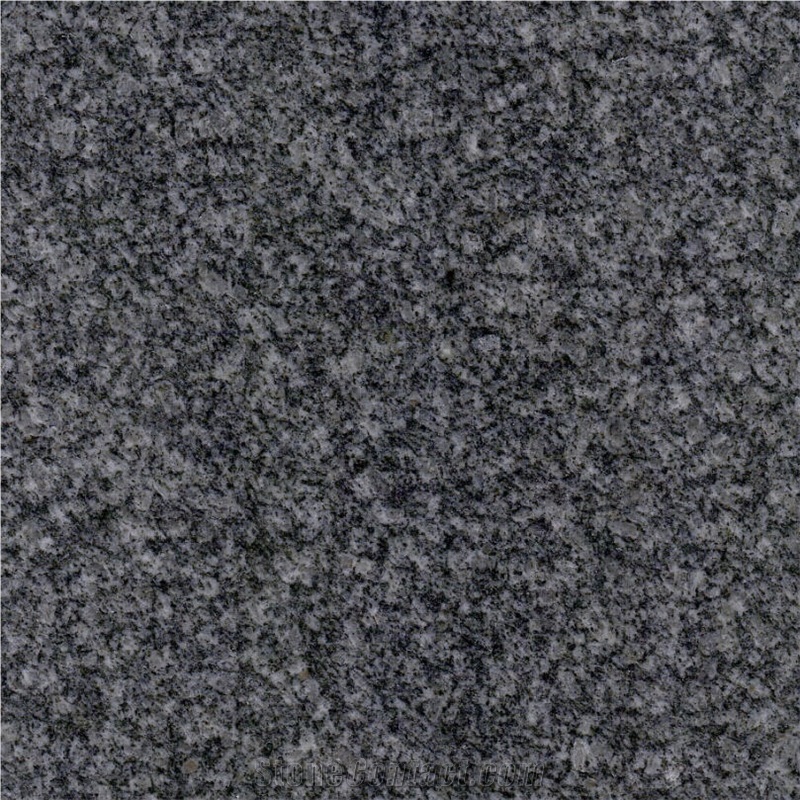 Grey Shandong Granite Tile