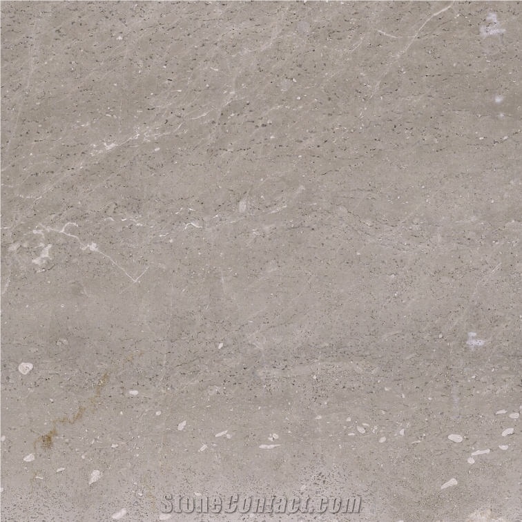 Grey Thala Marble importance=