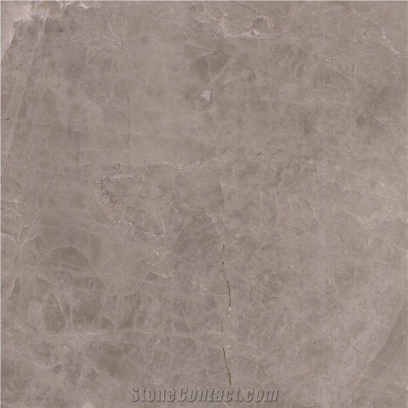 Grey Wolf Marble Tile