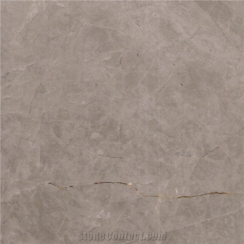 Grey Wolf Marble Tile