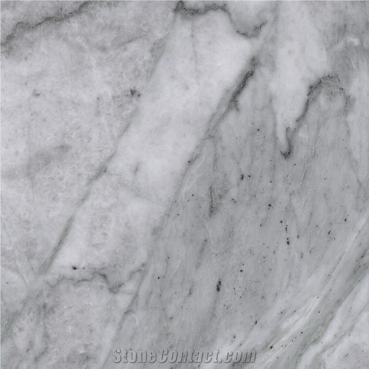 Grigio Adriatico Marble importance=
