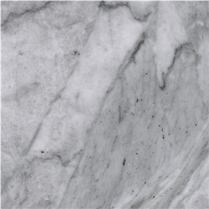 Grigio Adriatico Marble
