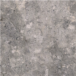 Grigio Argento Limestone