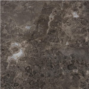 Grigio Bottarga Marble