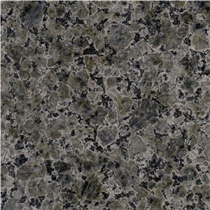 Grigio Champagne Granite Tile