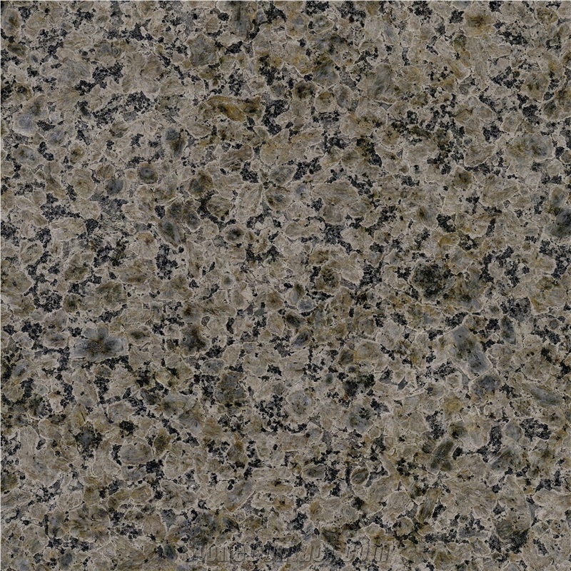 Grigio Champagne Granite Tile