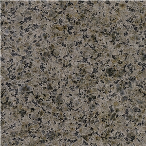 Grigio Champagne Granite Tile