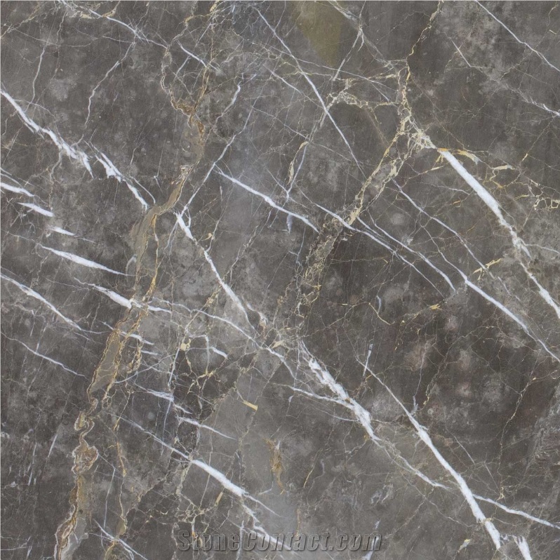 Grigio Collemandina Marble importance=