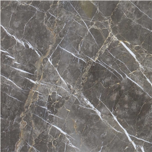 Grigio Collemandina Marble