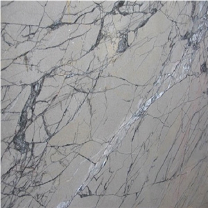 Grigio Spider Marble