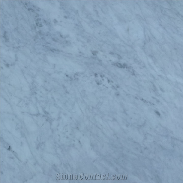 Grigio Trambiserra Marble importance=