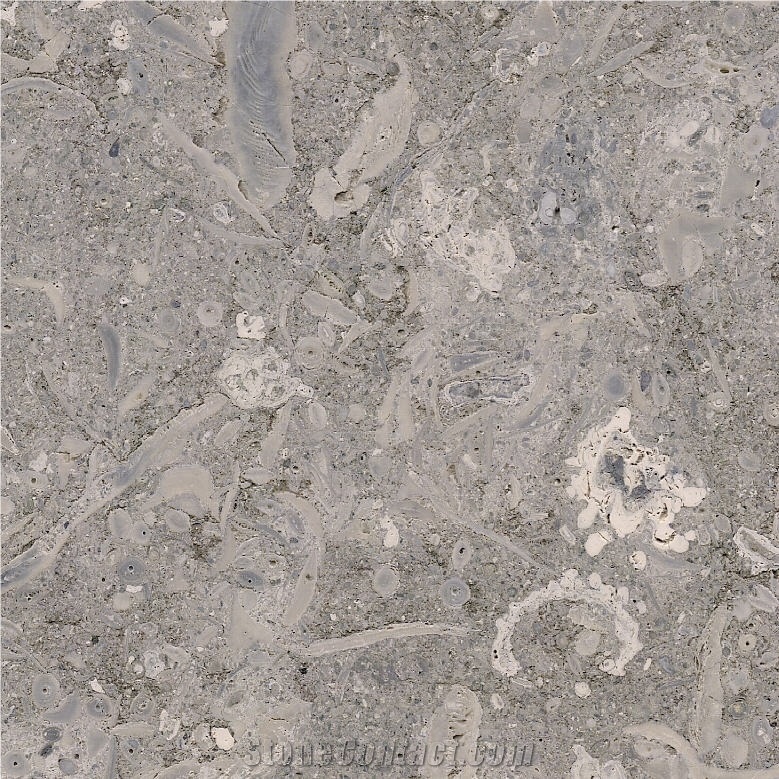 Grigio Vicenza Tile