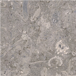 Grigio Vicenza Tile